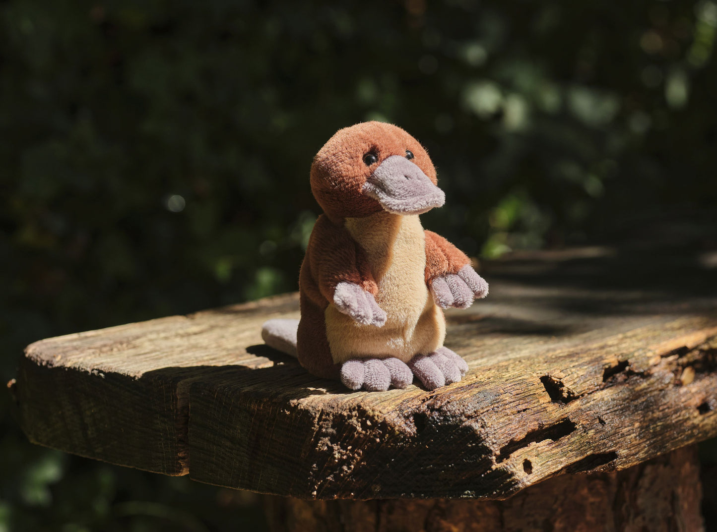 Cuddle Cub - Duck Billed Platypus
