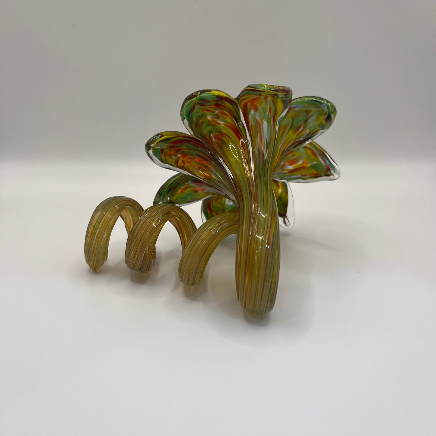 Everlasting Flower - Olive Multi