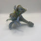 Everlasting Double Flower - Light Blue Multi