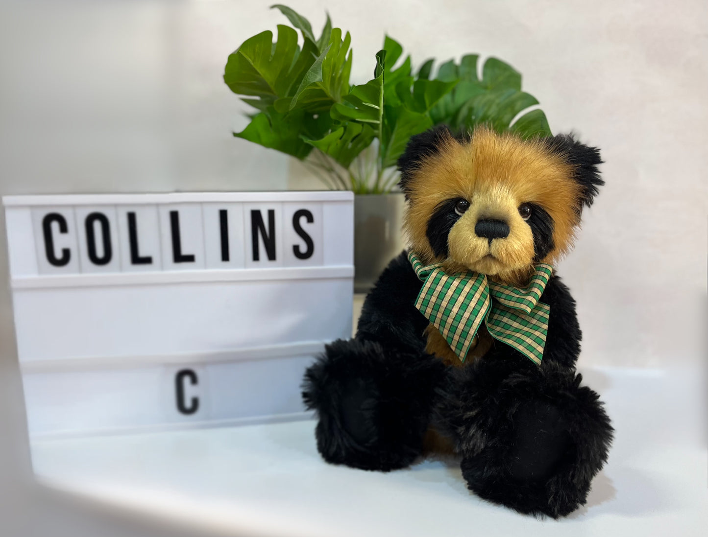 Charlie Bear - Collins