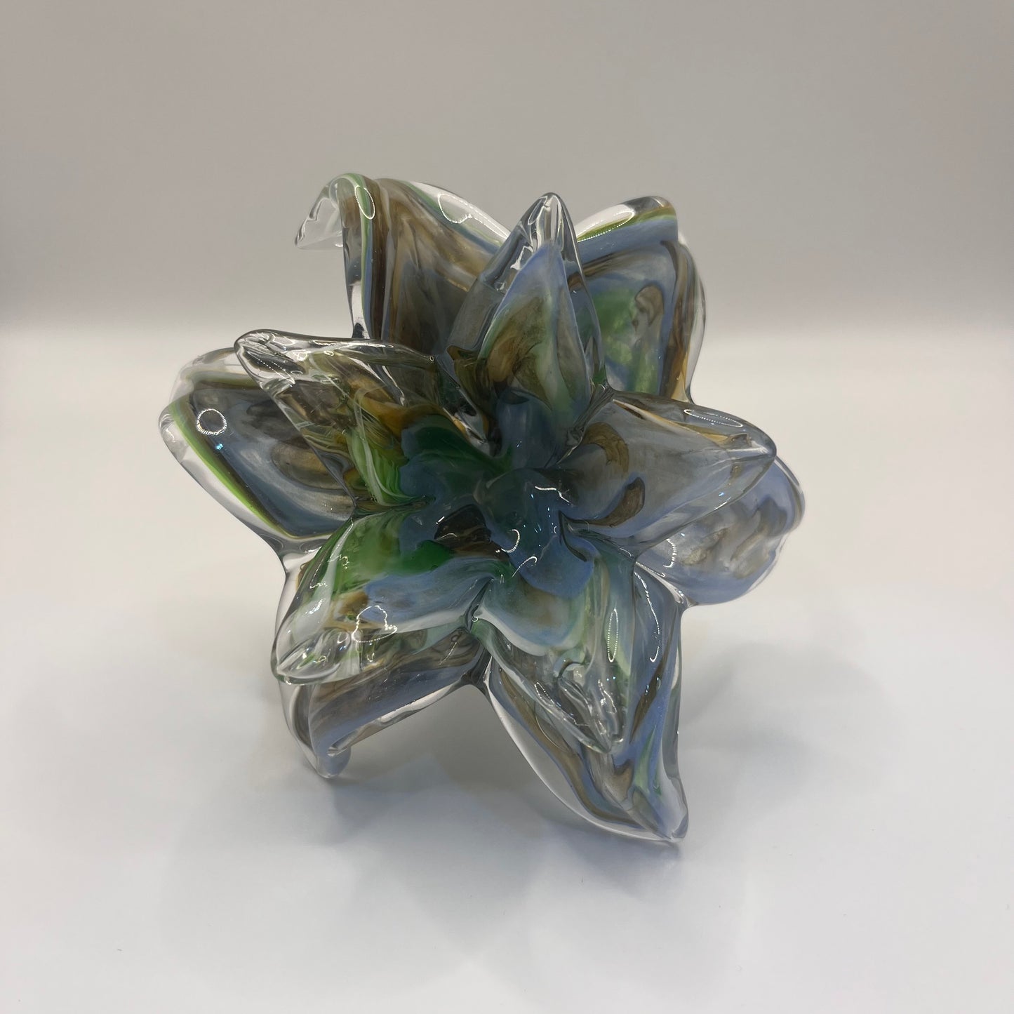 Everlasting Double Flower - Light Blue Multi