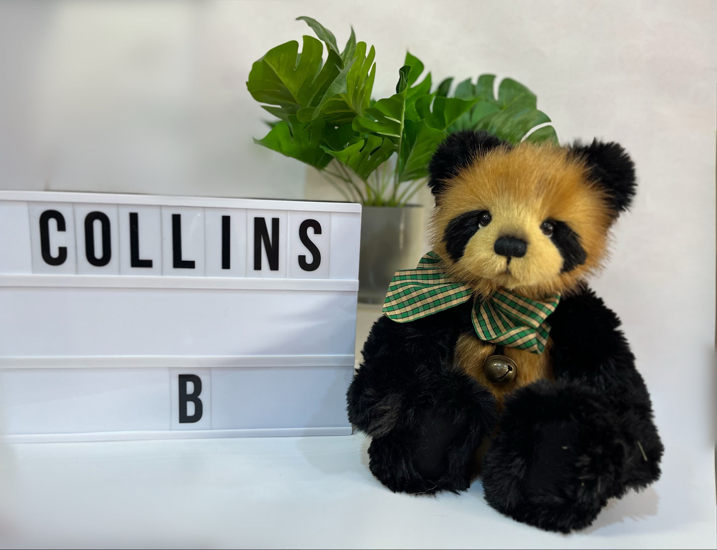 Charlie Bear - Collins