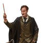 Professor Remus Lupin