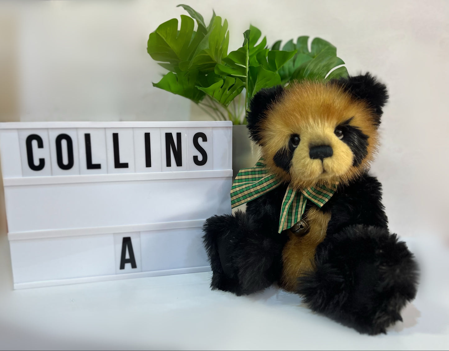 Charlie Bear - Collins