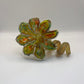 Everlasting Flower - Olive Multi