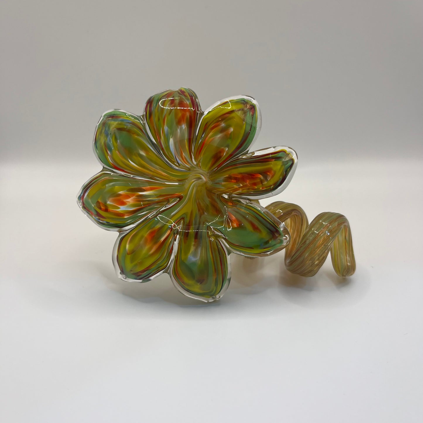 Everlasting Flower - Olive Multi