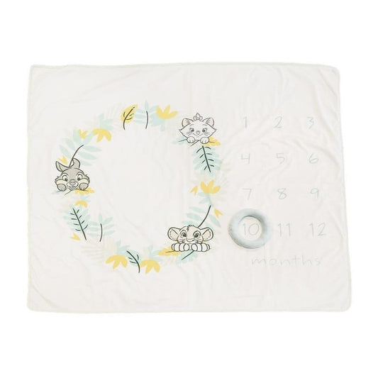 Disney - Milestone Blanket