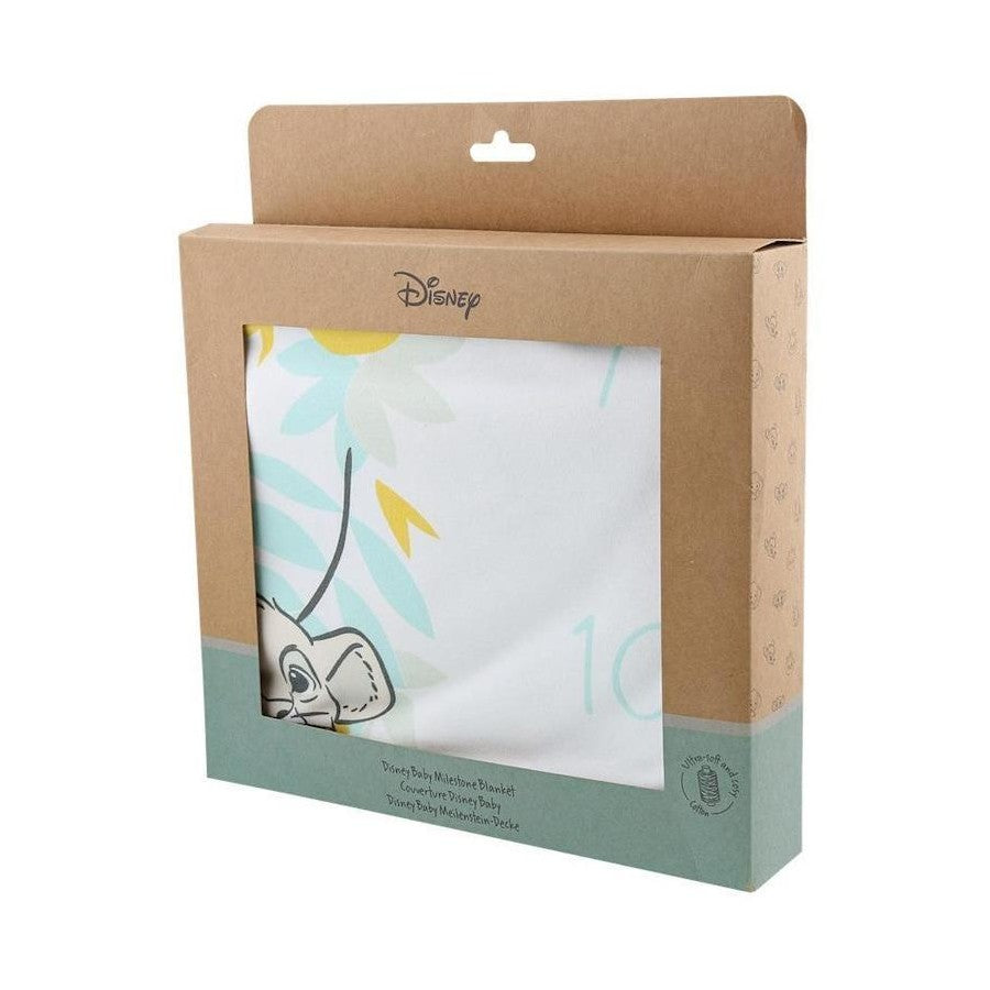 Disney - Milestone Blanket
