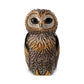 De Rosa - African Cape Owl