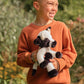 Bear & Me - Buttercup Cow