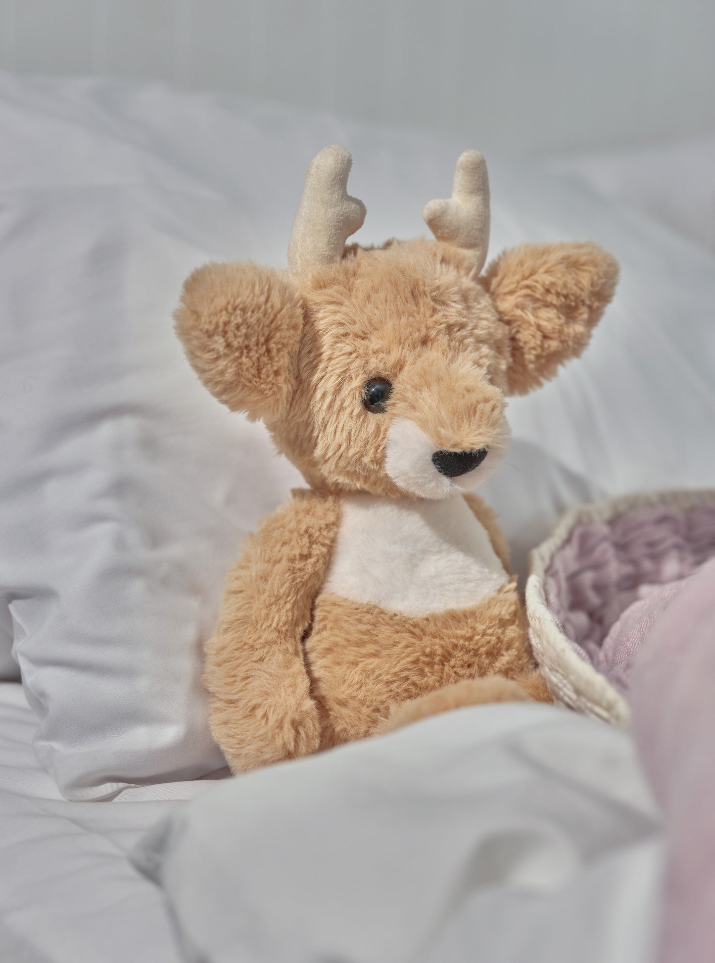Bear & Me - Fawn Deer