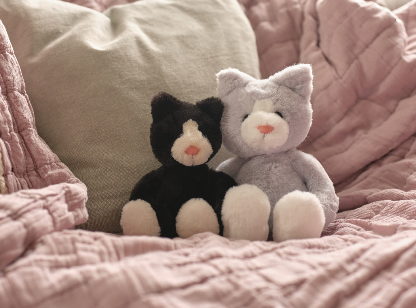 Bear & Me - Puddy Kitten (Grey)