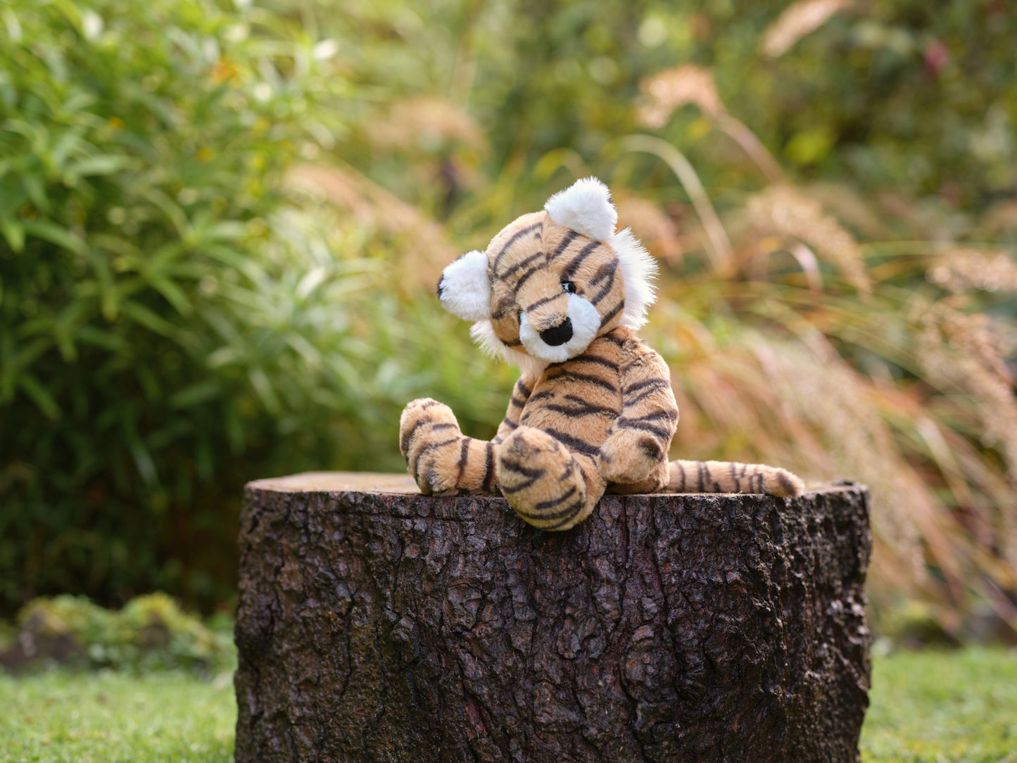 Bear & Me - Terry Tiger