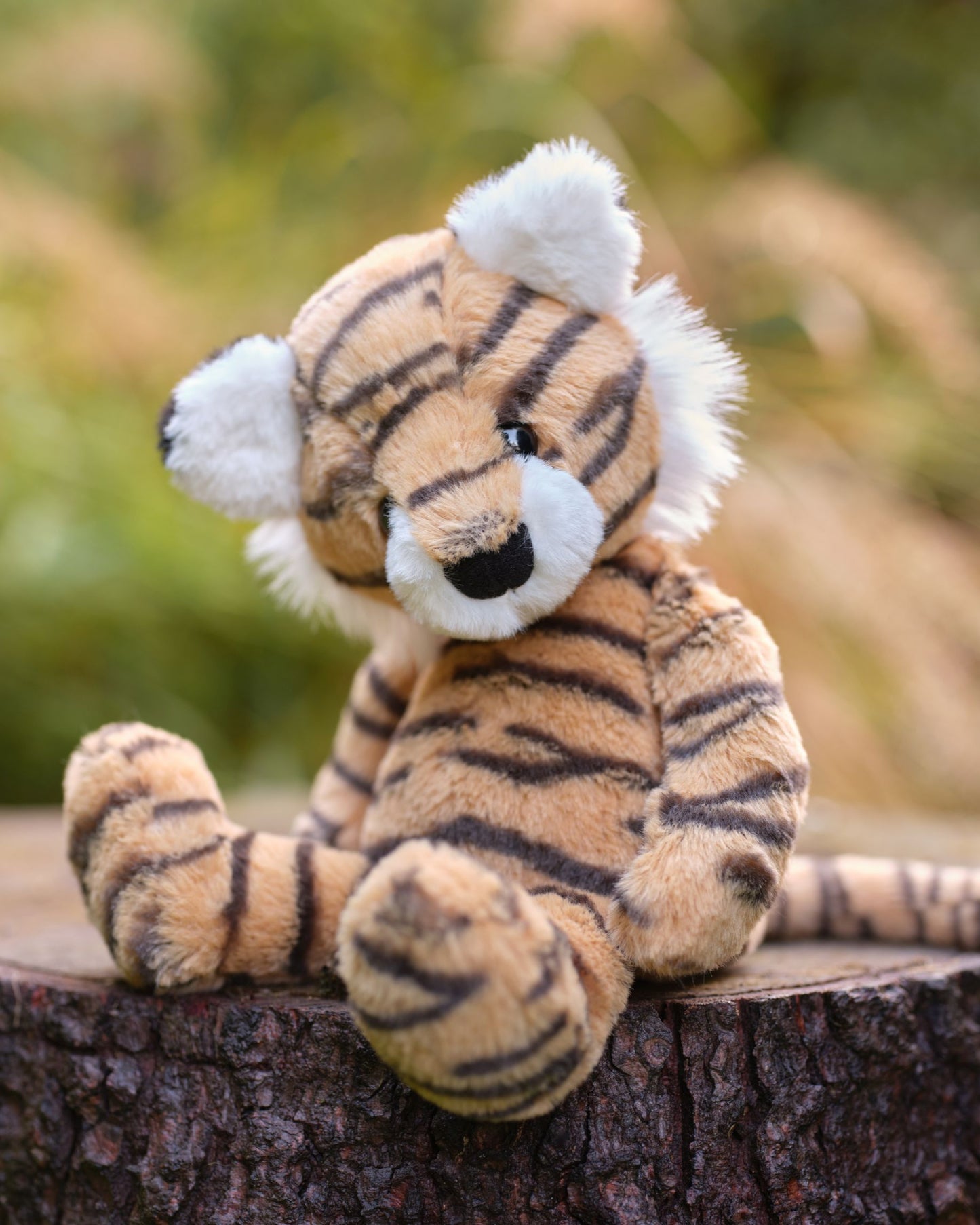 Bear & Me - Terry Tiger