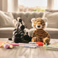 Bear & Me - Zizi Zebra