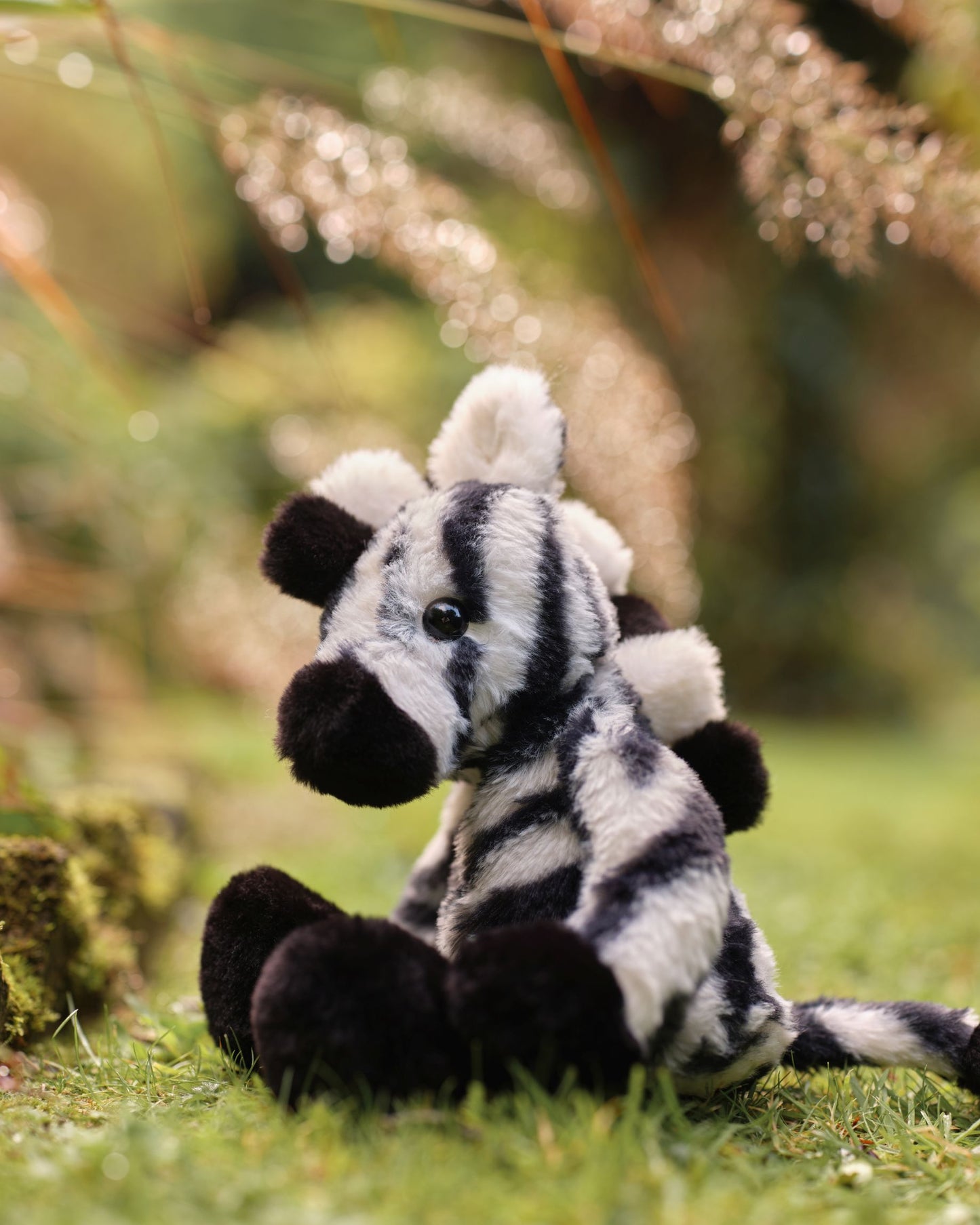 Bear & Me - Zizi Zebra