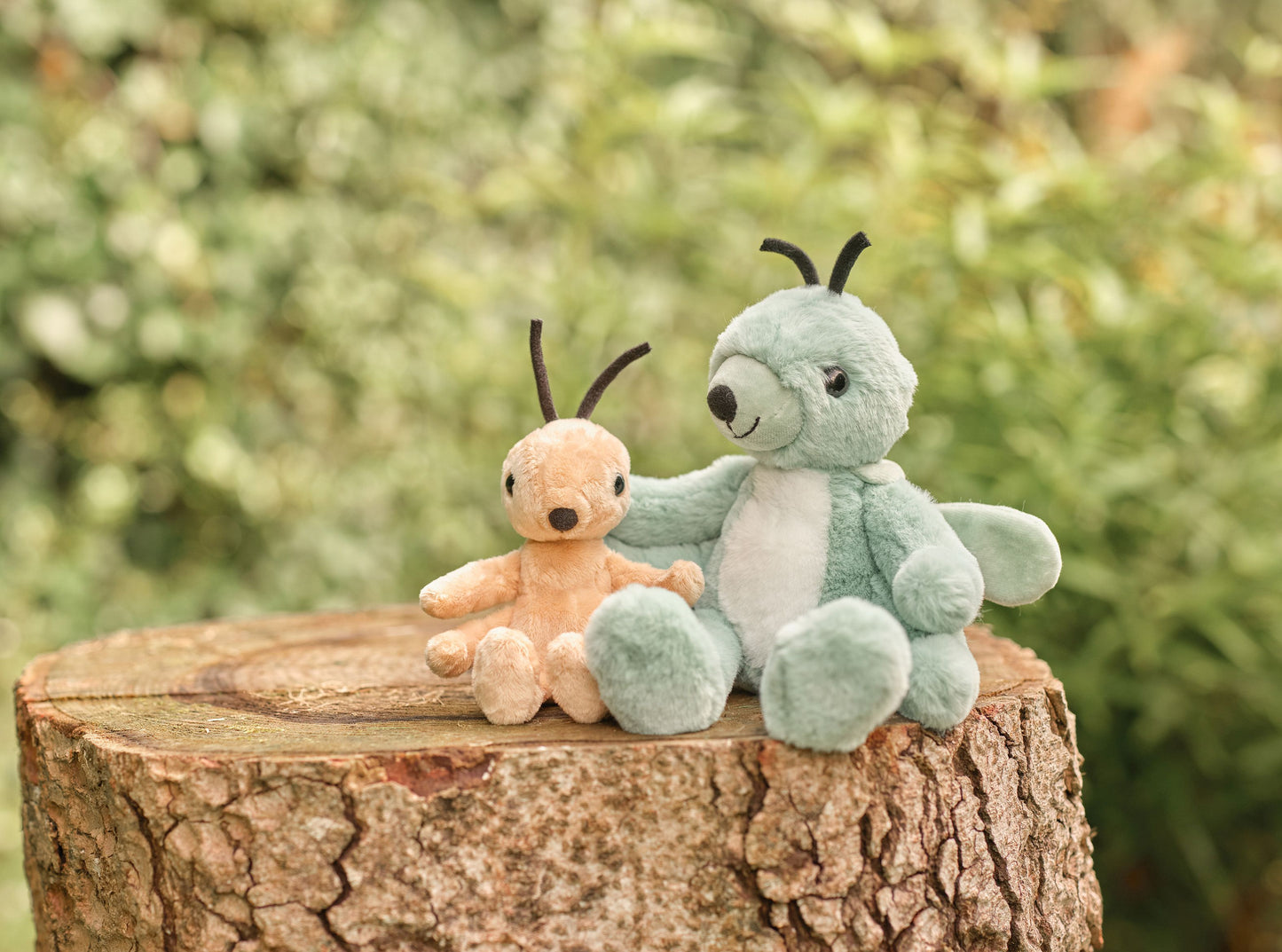 Bear & Me - Gary Grasshopper