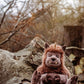 Bearhouse - Quarry