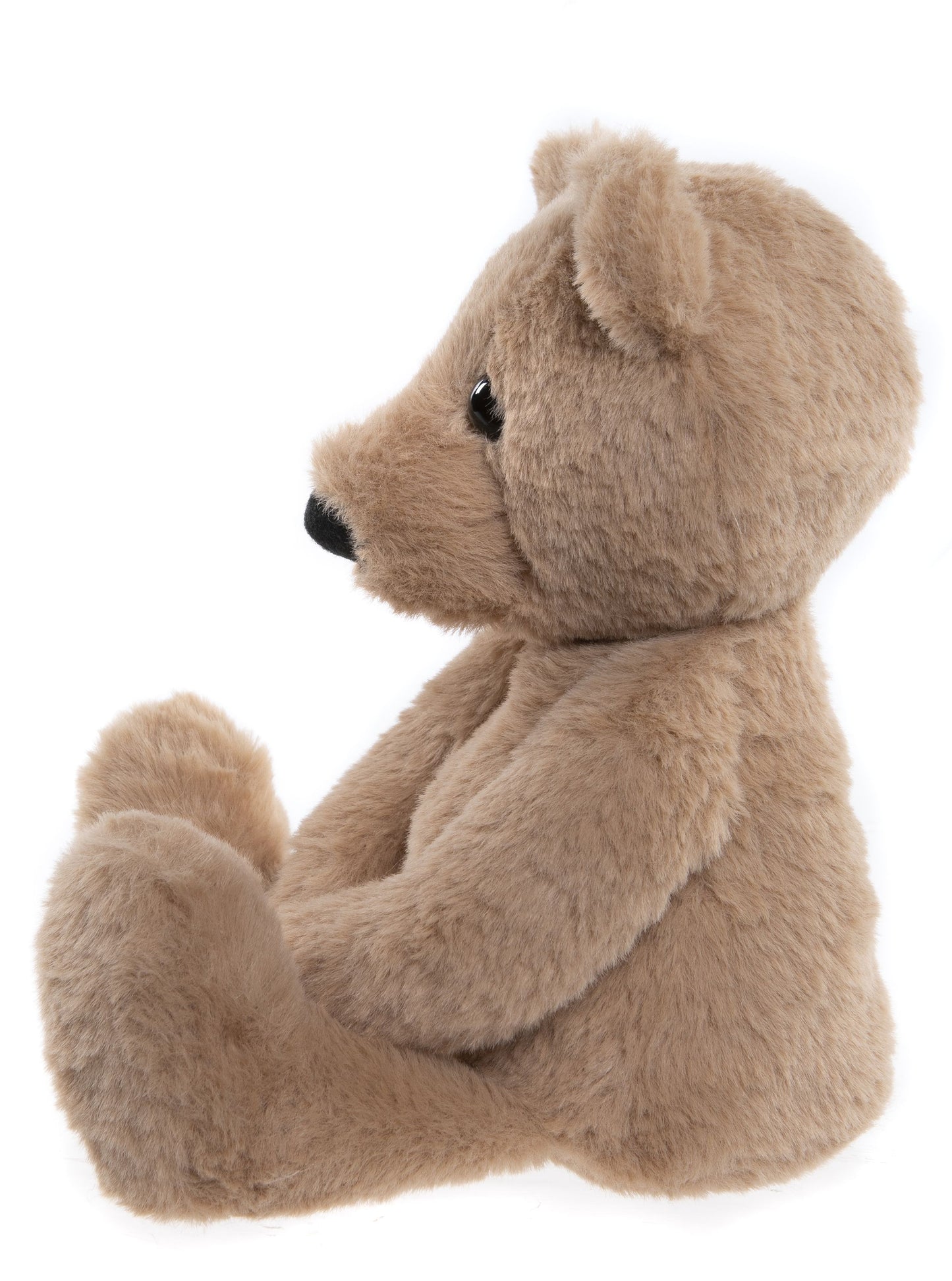 Bear & Me - Charlie Bear