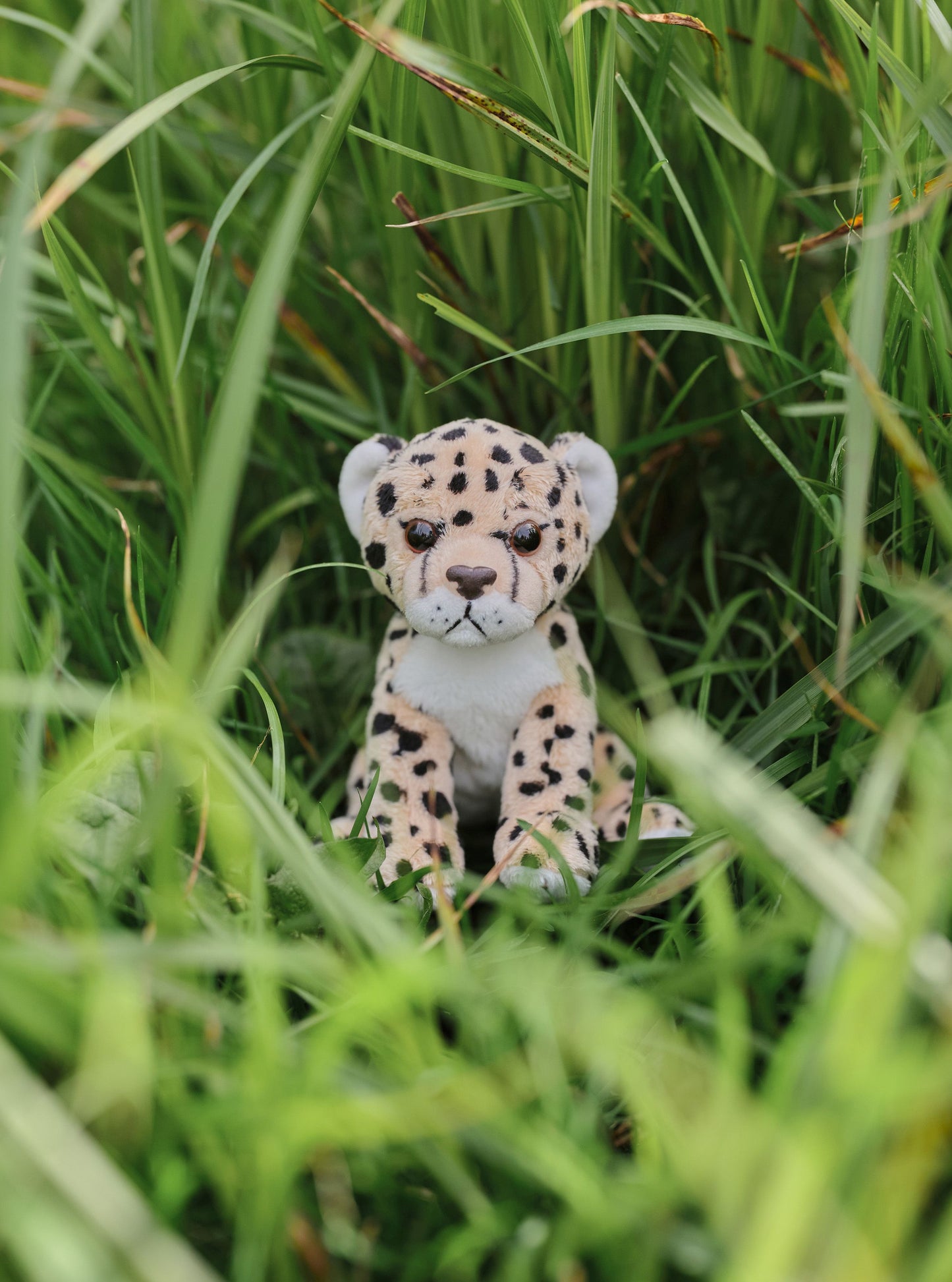 Cuddle Cub - Leopard