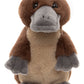 Cuddle Cub - Duck Billed Platypus