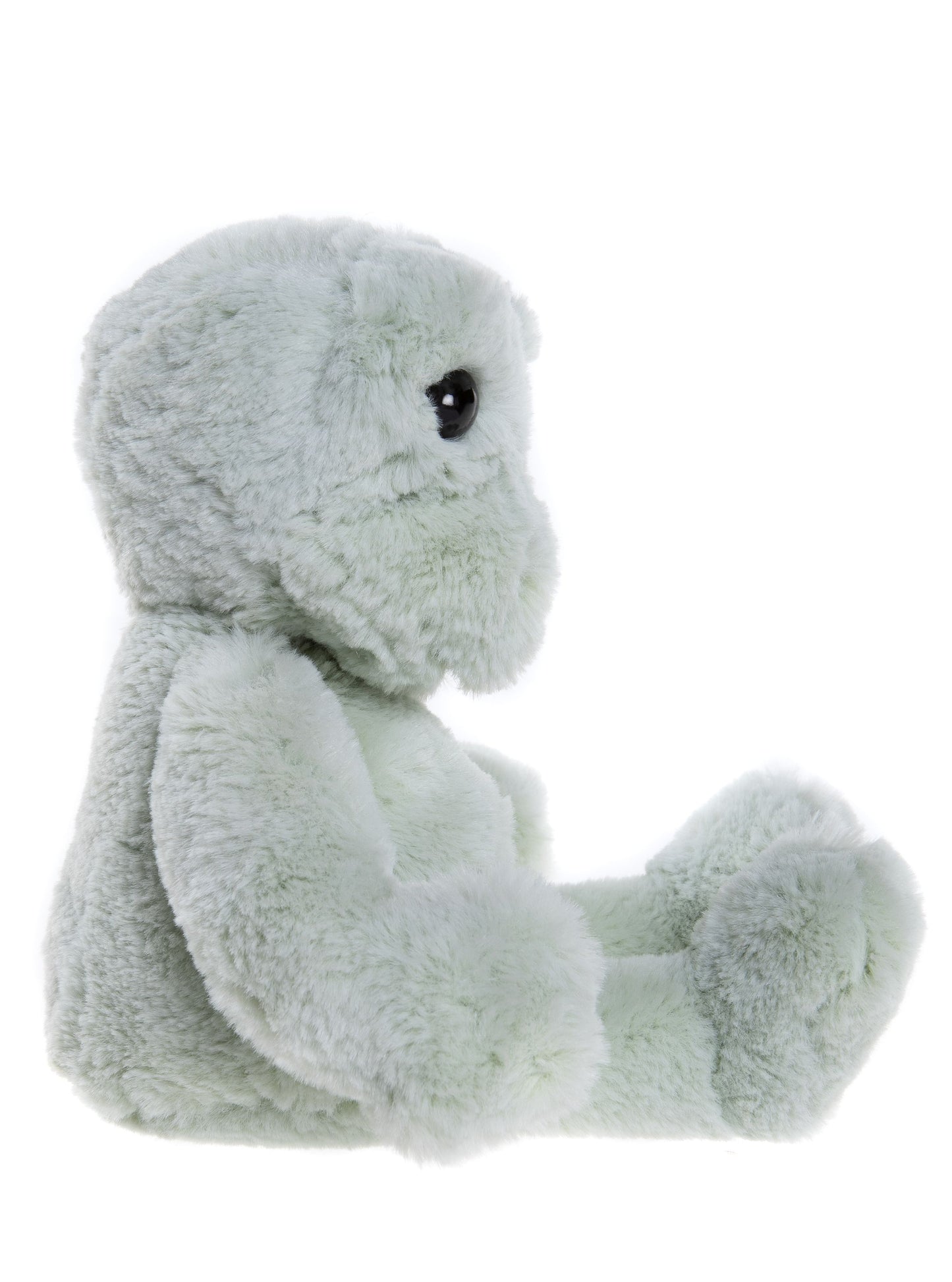 Bear & Me - Freddie Frog