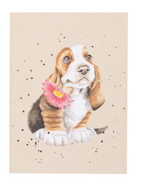 Wrendale Designs - Just For You A6 Notebook