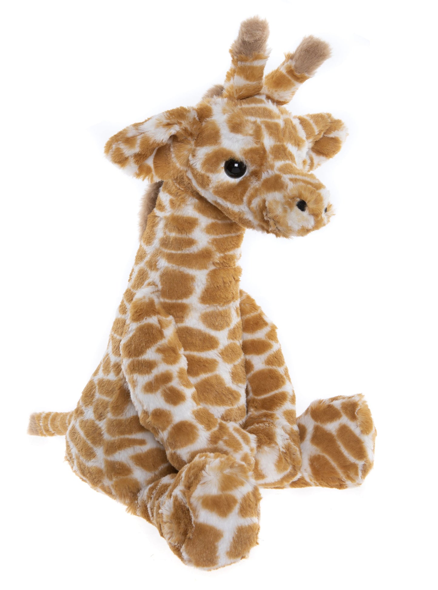 Bear & Me - Gilbert Giraffe