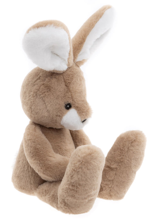 Bear & Me - Harry Hare