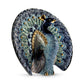 De Rosa - Peacock