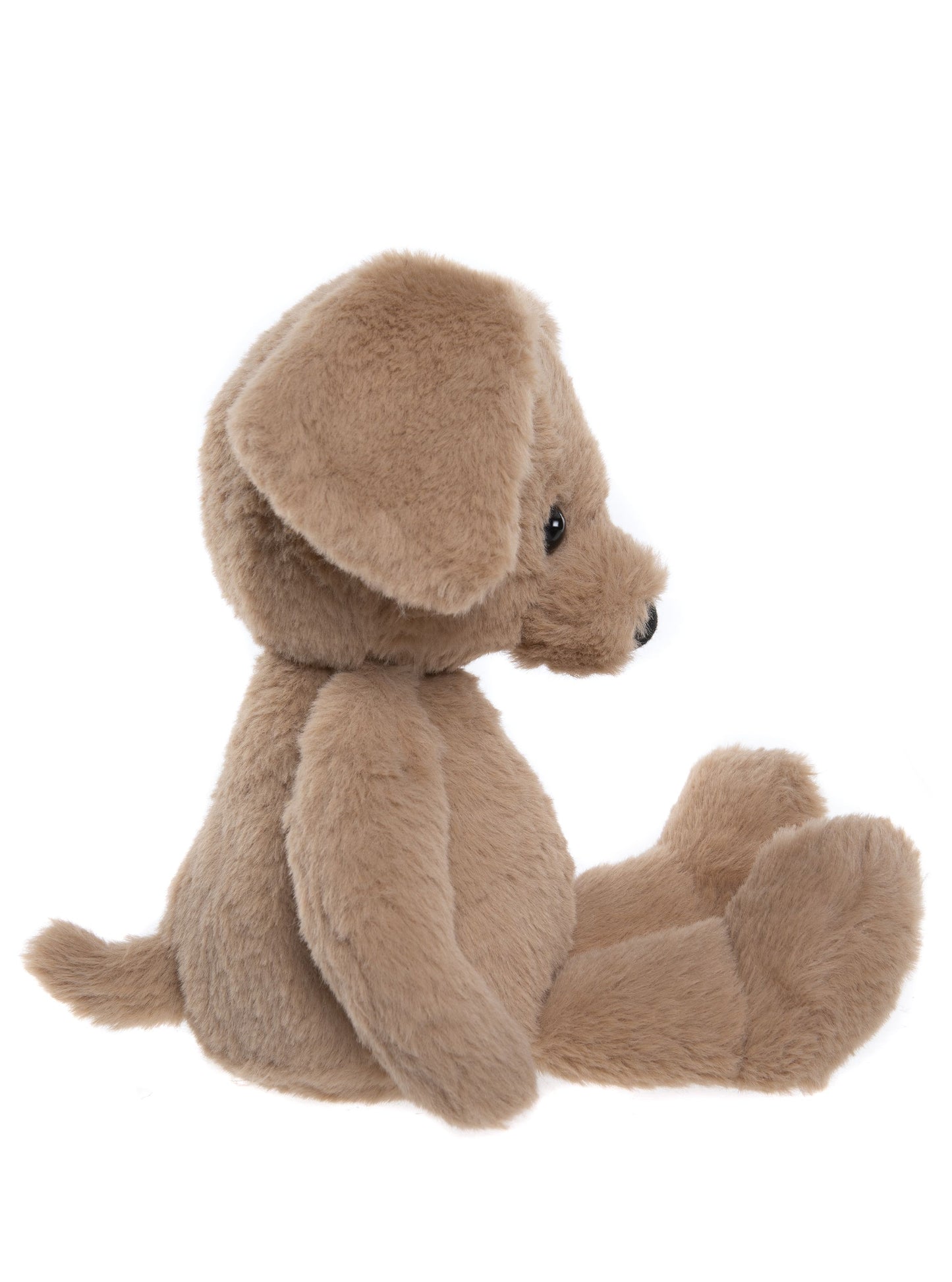 Bear & Me - Ruff Puppy