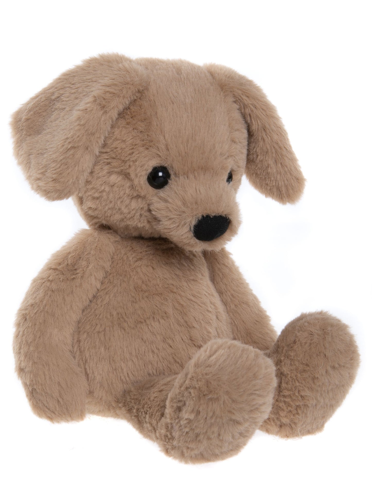 Bear & Me - Ruff Puppy