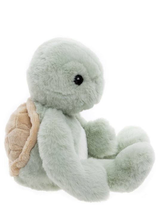 Bear & Me - Timmy Tortoise