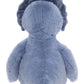 Bear & Me - Troy Triceratops